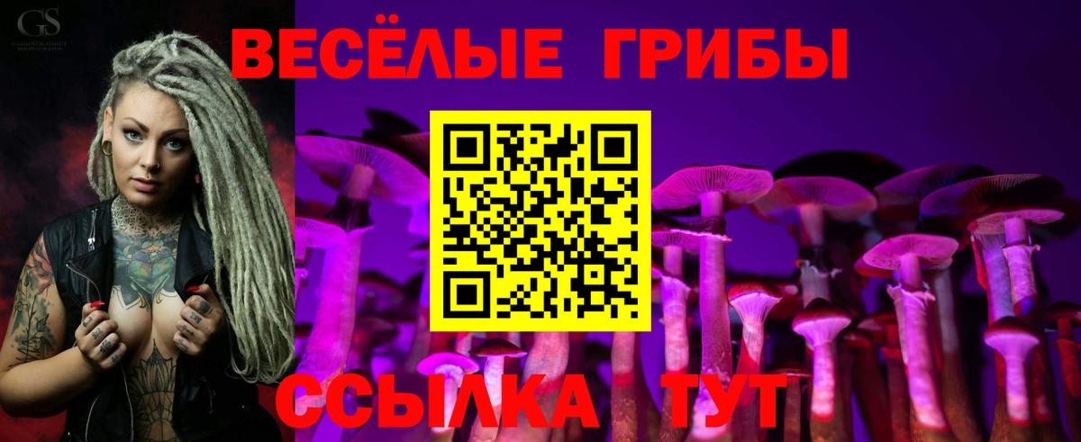 Галлюциногенные грибы прущие грибы Котлас
