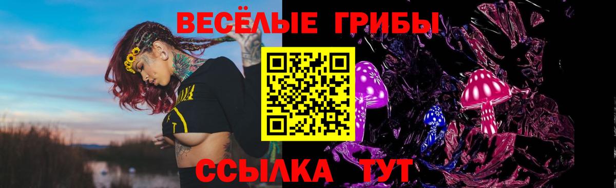 Псилоцибиновые грибы мухоморы  Вход с VPN  Псилоцибиновые грибы MAGIC MUSHROOMS  Котлас 
